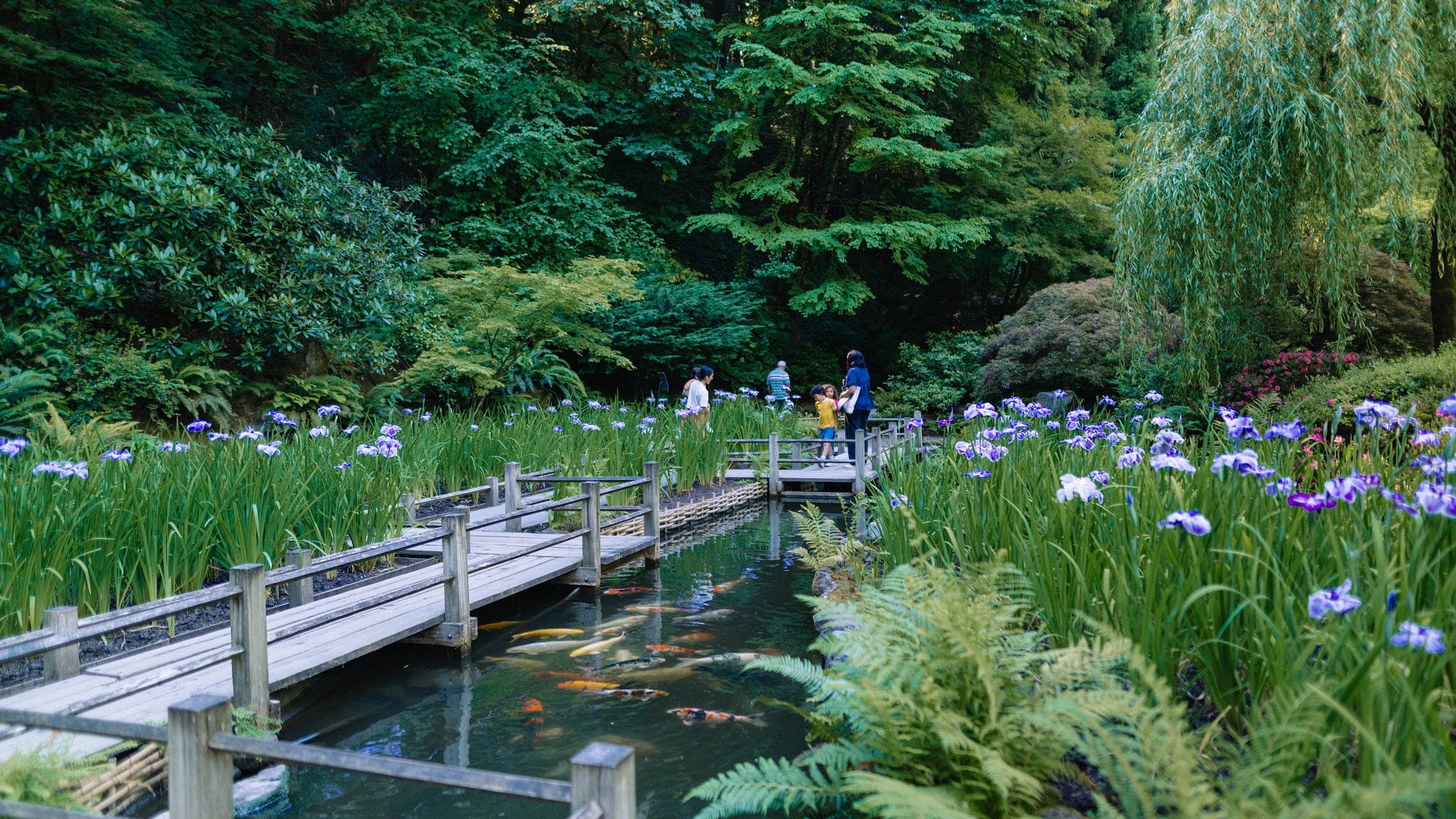 More Than a Footpath: Learn About the Zig-Zag Bridge