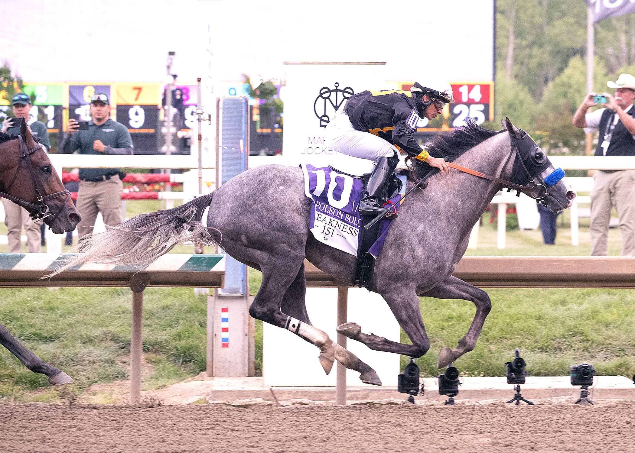 Haskell Stakes Top Contenders: Napoleon Solo, Further Ado
