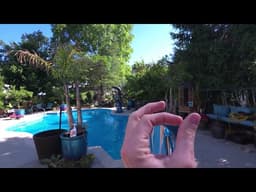 Planning and Planting Summer Landscape & Containers