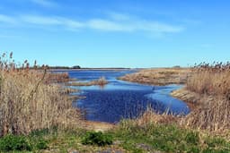 Russian Troops Refuse Island Deployments on Dnipro River