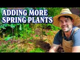 First Harvests and More Planting In My Spring Garden!