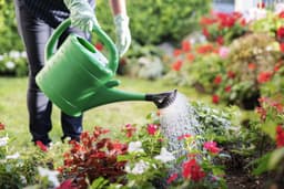 9 Summer Gardening Shortcuts That Actually Work
