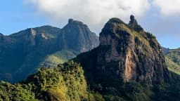 Ethiopia tests digital wildlife monitoring system