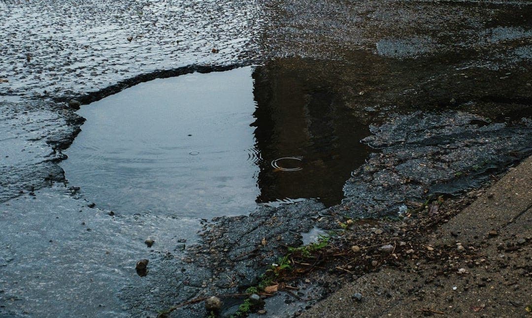 Senator Pothole