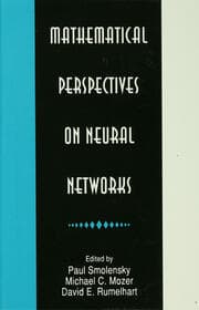 Mathematical Perspectives on Neural Networks