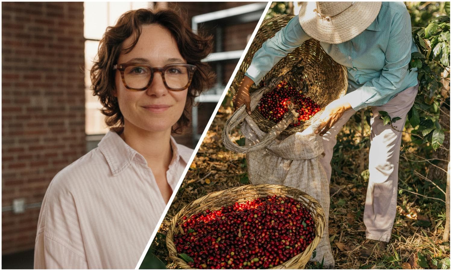 Biotek-startup kommer ud af stealth og vil gøre “den glemte halvdel af din morgenkaffe” til en milliardforretning - TechSavvy