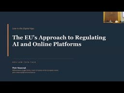 Law in the Digital Age: The EU’s Approach to Regulating AI and Online Platforms