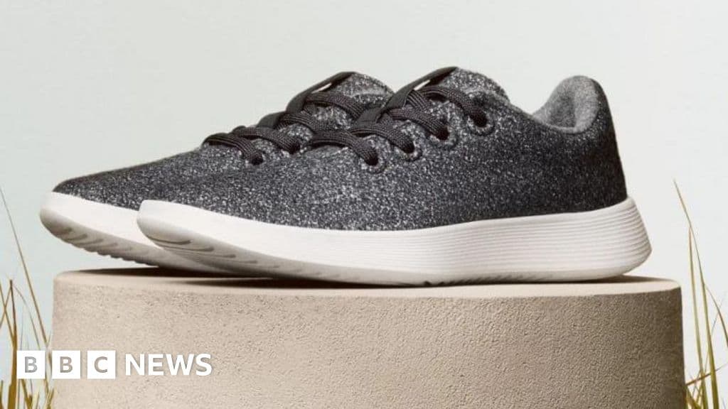 Shares in shoe brand Allbirds rise 580% after it pivots from footwear to AI