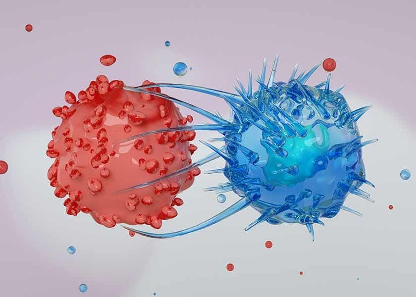 UCLA Study Highlights Possible Role of Creatine in Cancer Immune Defense