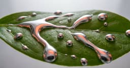 What Is GLM 5.2? The Open-Weight Model Beating ...