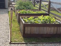 How To Use Pallets To Build Raised Garden Beds