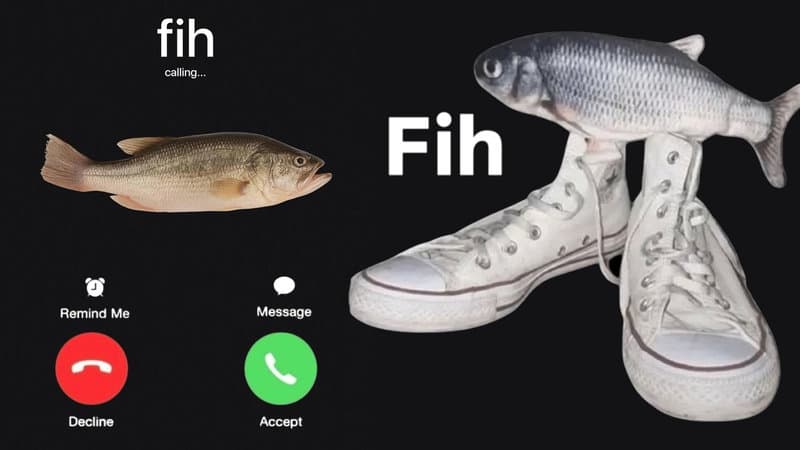 What Is The 'Fih' Meme? The Viral Slang Term's Meaning And What This Weird Meme About Fish Really Means