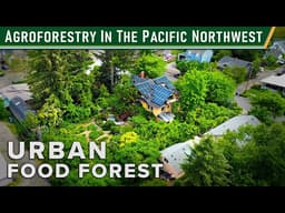 How Urban Agroforestry Creates Biodiversity and Abundance