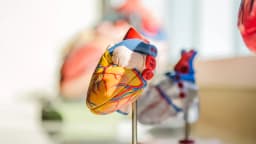 AI Agent Systems in Cardiovascular Medicine—A Review ...