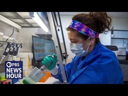 New proposal would give Trump officials more control over scientific research grants