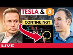 Is Tesla really bouncing?