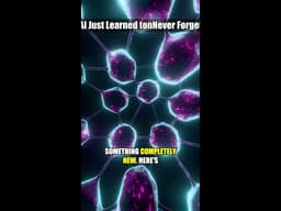 AI Just Learned to Never Forget