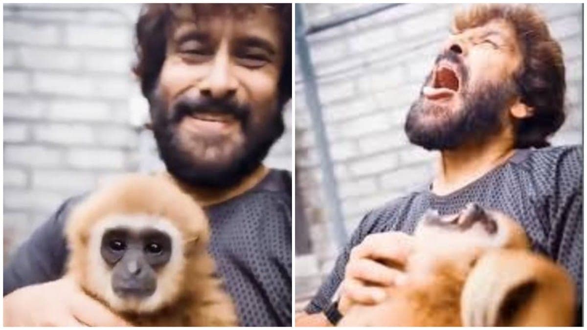 India's exotic pet trade has outrun the law. Actor Vikram's ...