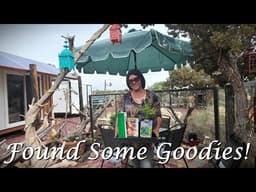 Shopping At Viola's Flower Garden & Planting My First Container For The Season