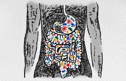 The Iceman’s Microbiome