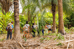 Ecological restoration will only be possible by including ...