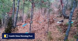 South Korea’s Lee regrets drones sent to North: ‘irresponsible and reckless’ | South China Morning Post