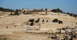US public opinion shifts on Israel, Palestine recognition ...