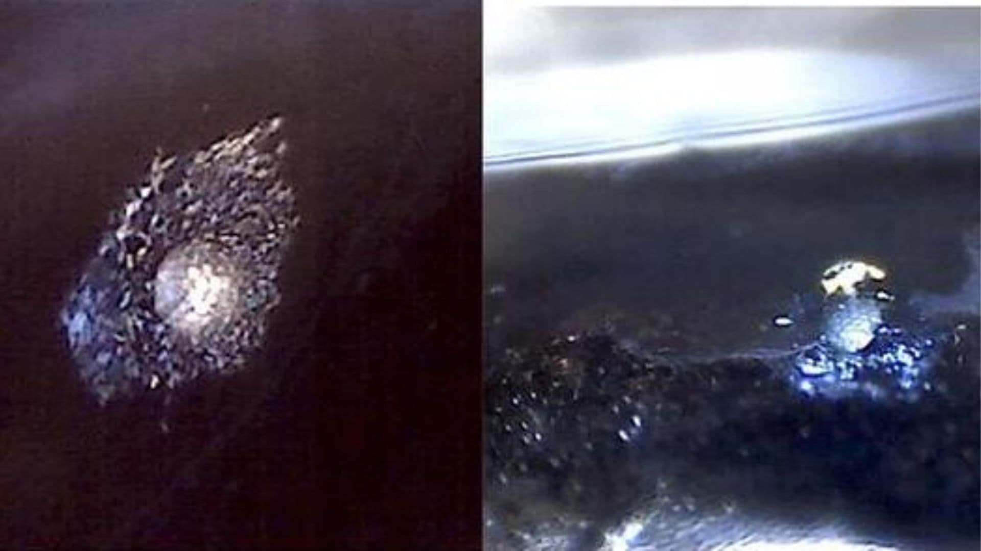 Researchers discover prism-like light-scattering crystals in deep-sea predator