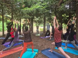 Yoga at the Alemany Farm - Bernal Connect