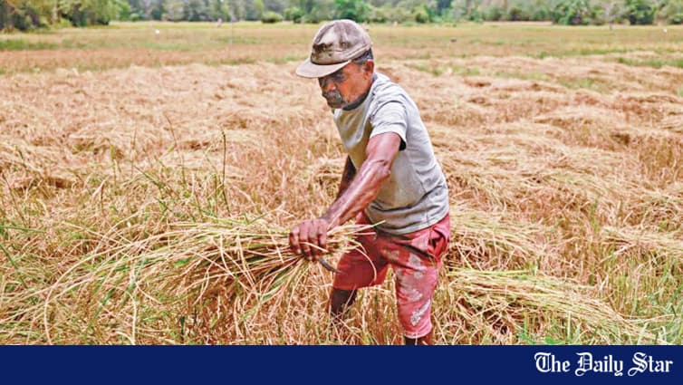 Sri Lankan govt delivers water to 72000 people