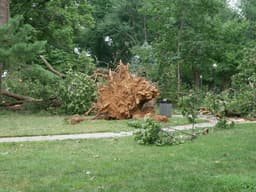 PPL: Ongoing restoration effort is largest since Superstorm ...