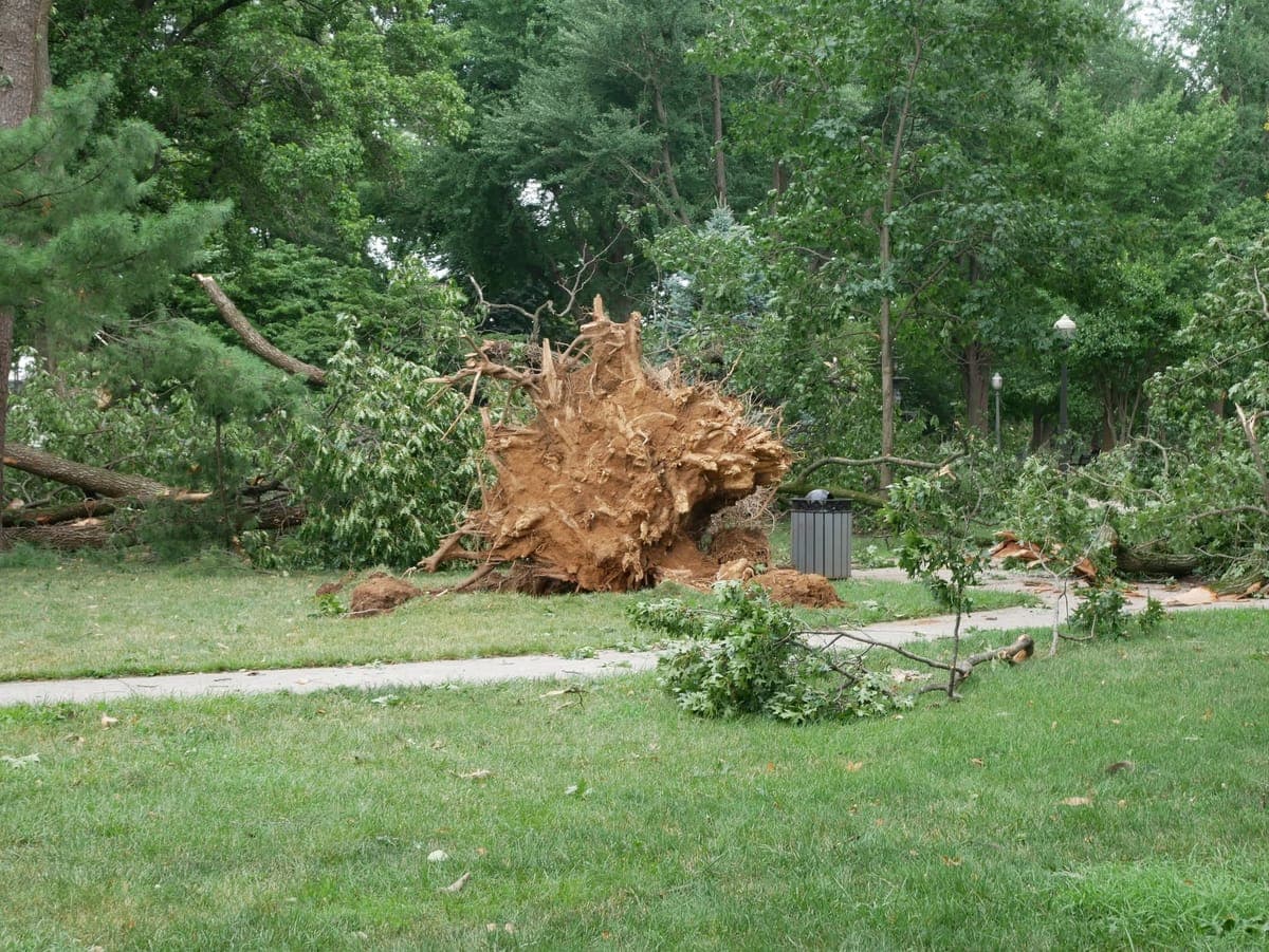 Fourth of July Severe Storms Cause Power Outages in Lehigh Valley