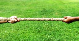 The Surveillance Law Congress Can’t Quit