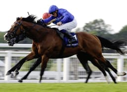 Ombudsman Takes The Brigadier Gerard Ahead Of Daryz Clash