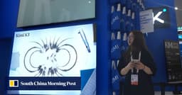 Potential US ban on Chinese AI models could cost ...