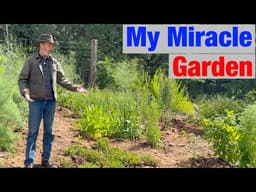 I Stopped Watering My Garden 100° Heat, No Rain - Here's What Happened