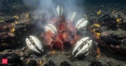 Deep-Sea Escanaba Trough Holds Secrets of Earth's Fiery Core - The Economic Times