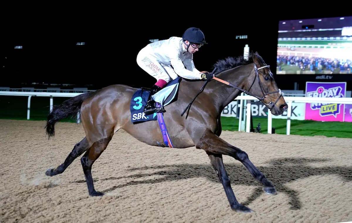 Constitution Hill among "best ever" Irish Champions Festival entries