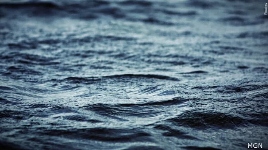 Arkansas Department of Agriculture awarded $3M for 18 ...