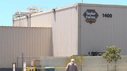 Arizona-linked lettuce supplier issues recall due to potential diarrhea-parasite contamination