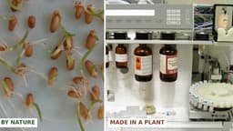 Made in a Reactor: The Chemical Truth Behind the “Natural” Peptide Craze