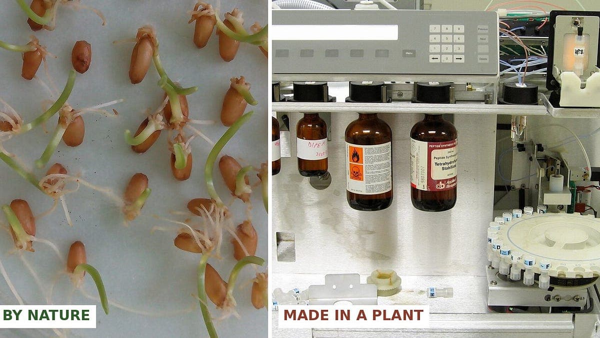 Made in a Reactor: The Chemical Truth Behind the “Natural” Peptide Craze