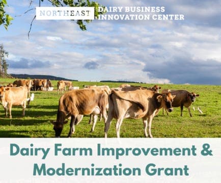 Regional Dairy Farm Improvement Grant Opening Soon