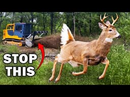 Florida Wants to Destroy This Forest. We Can Stop Them