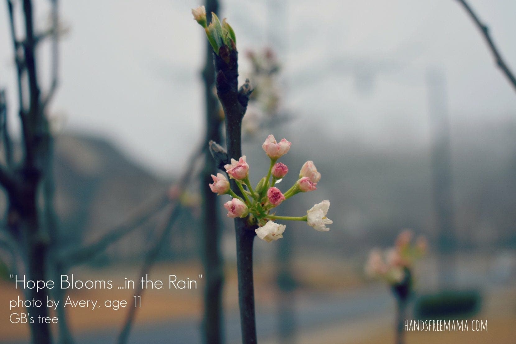 Five Percent Closer to the Steadiness You Need Right Now