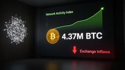 Bitcoin Shows Signs of 'Quiet Accumulation Phase' as Long-Term Holder Wallets Surpass 4.37 Million BTC — BigGo Finance