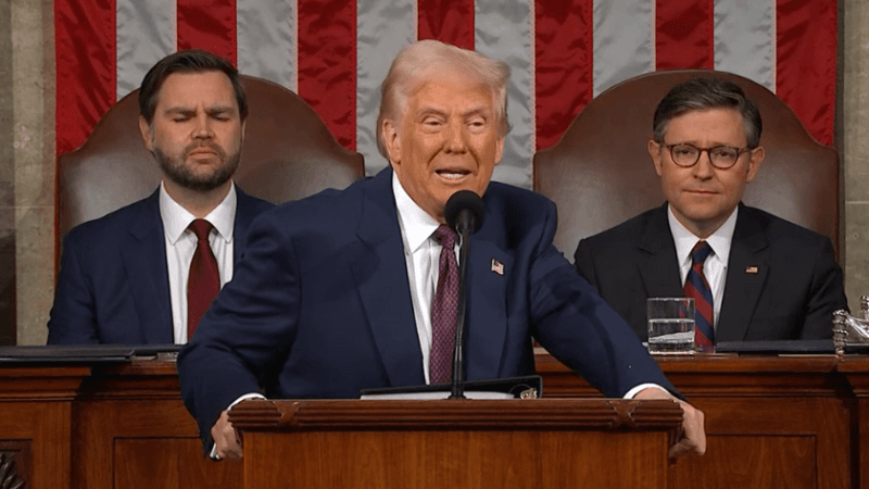 Trump renews push for AI giants to foot data centre power bill
