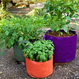 Specialty Container Varieties