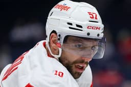 Sabres Have PTO Target To Consider In Ex-Red Wings ...