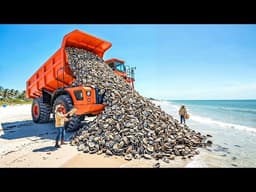 Florida Dumped 500,000 Tons of Oyster Shells… What Formed Beneath the Water Is Unreal